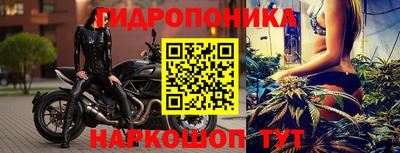 гашик Малгобек