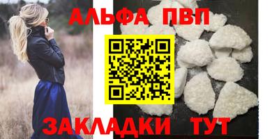 гашик Малгобек